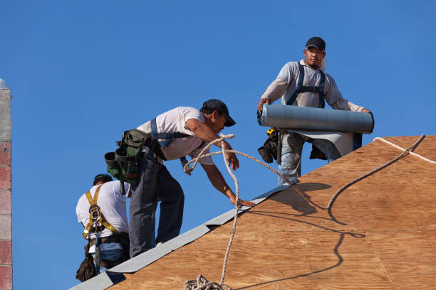 Roof Gutter Cleaning in Jamestown, CA